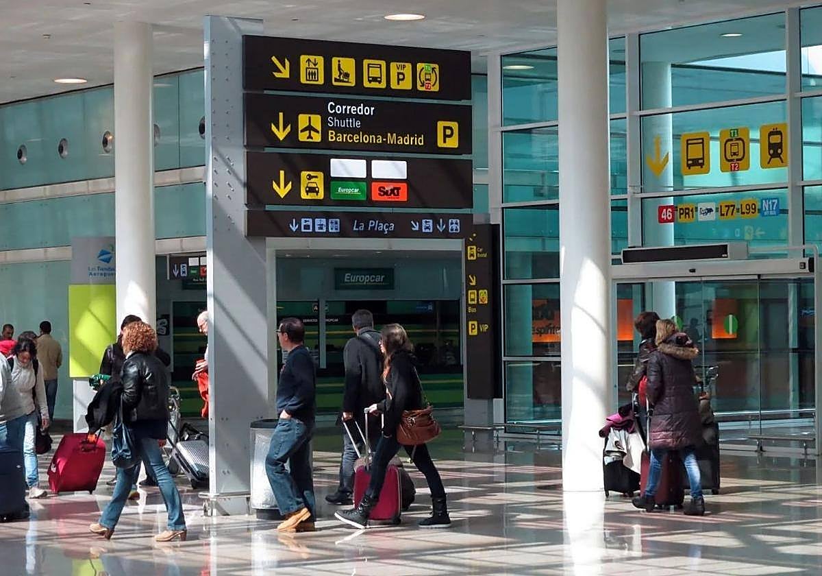 La justicia europea estima que la indemnización por pérdida de un perro en un vuelo debe ser la misma que por una maleta