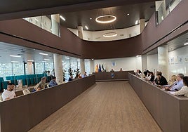 Imagen del pleno ordinario de octubre en Estepona