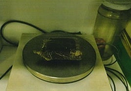 Imagen de la placa de 76 gr de hachís