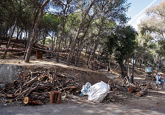 Una de las zonas cercanas al mirador de Gibralfaro y al Parador.