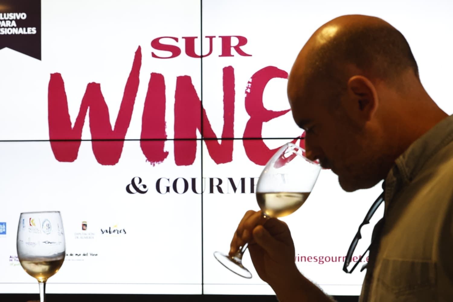 Las mejores fotos de SUR Wines &amp; Gourmet 2025