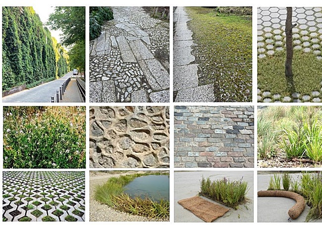 Algunas de las ideas para la revegetación.