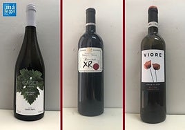 La cata: los vinos recomendados en la cuarta semana de octubre