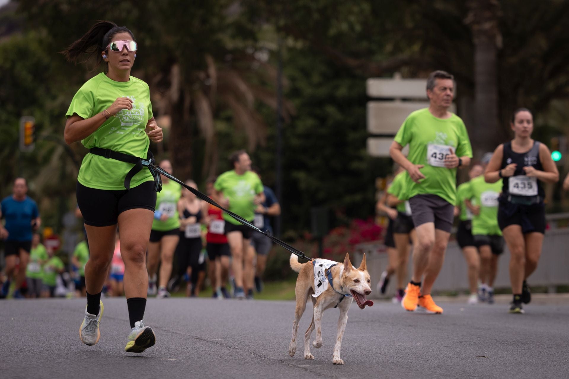 La VIII edición de la Carrera por la Libertad de Prensa, en imágenes