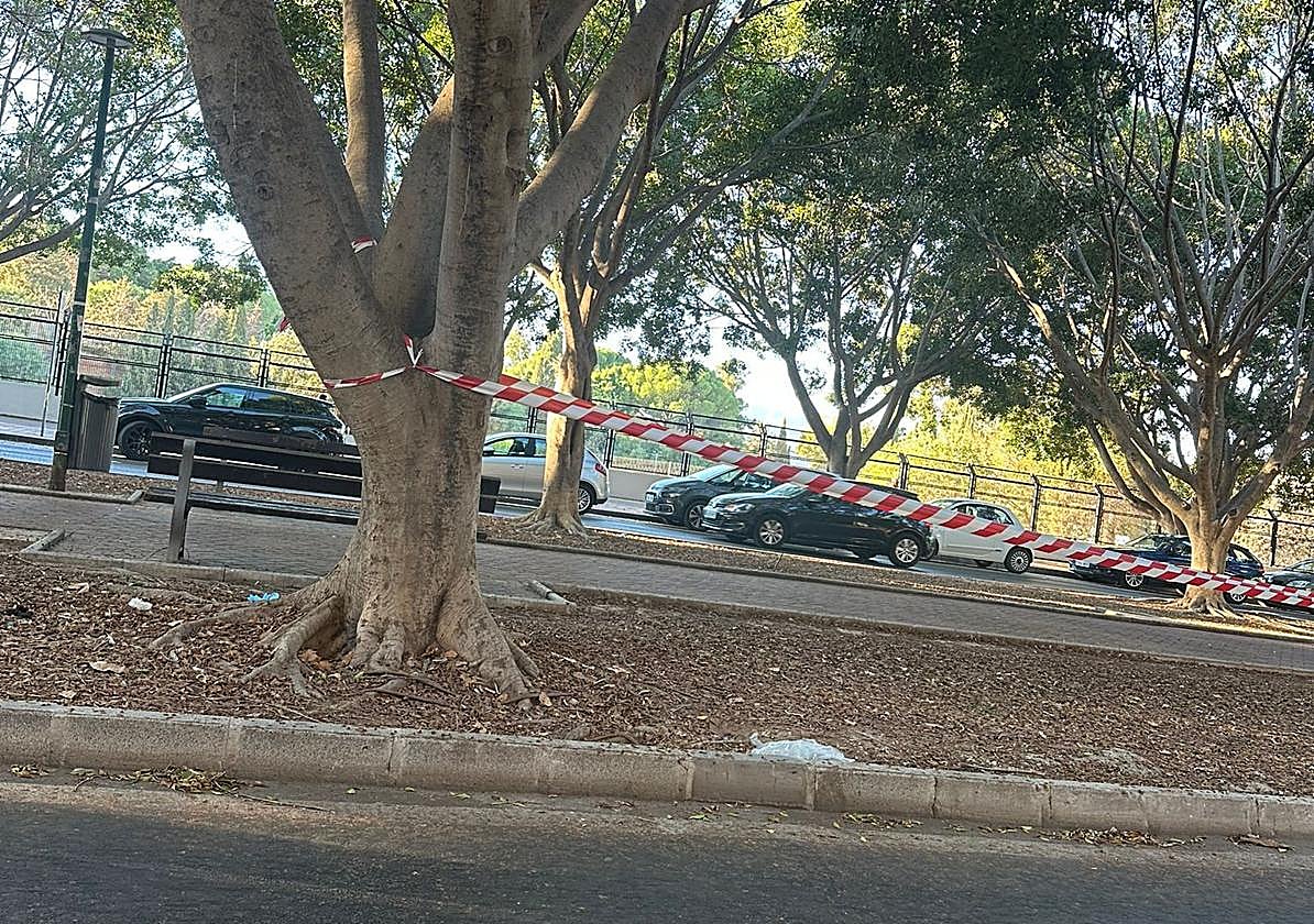 Vista del parque que divide la calle Plutarco, con restos y desperdicios.