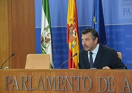 El portavoz parlamentario del PP-A, Toni Martín.