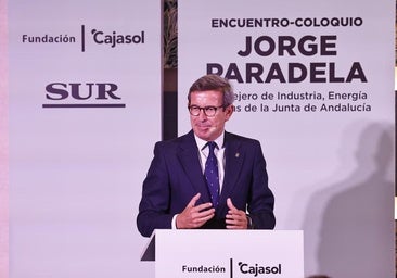 Jorge Paradela: «El tercer hospital y la ampliación del aeropuerto de Málaga no tienen asegurada aún la potencia eléctrica»