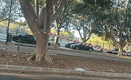 Vista del parque que divide la calle Plutarco, con restos y desperdicios.