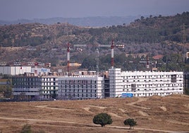 Viviendas de VPO en alquiler que construye el Ayuntamiento al oeste del campus de Teatinos.