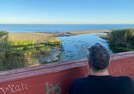 Desembocadura del río Padrón en la playa del Padrón de Estepona, una de las zonas a desbrozar.