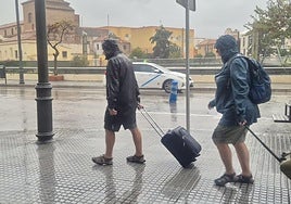Imagen de la lluvia registrada este lunes en Málaga.