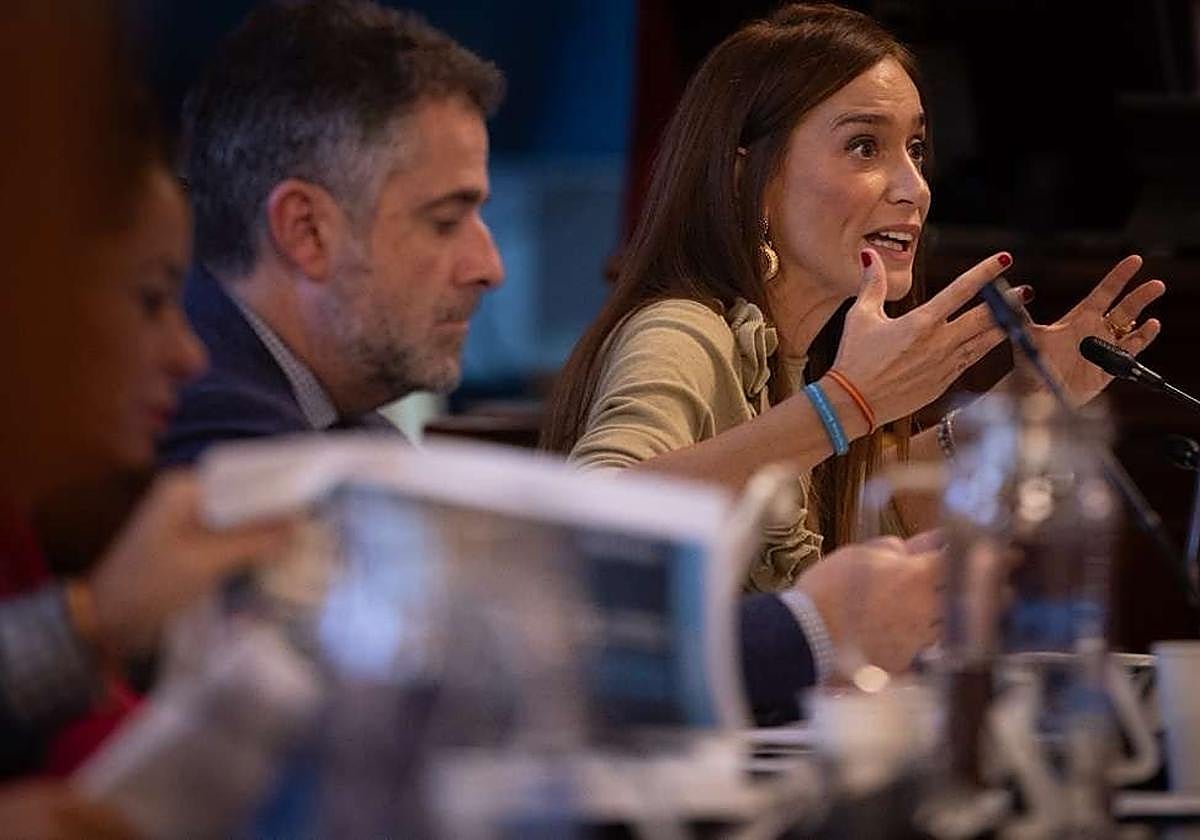 La portavoz popular, Elisa Pérez de Siles.