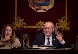 El PSOE y Con Málaga votan en contra de la mejora de la potencia eléctrica para abordar grandes proyectos en Málaga