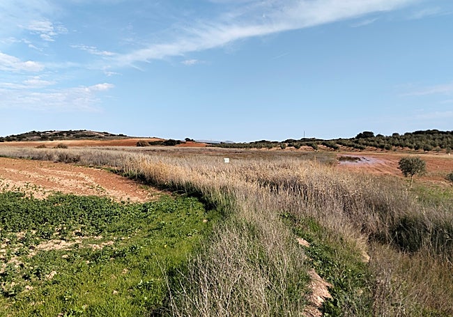 La Laguna de Camuñas, pese a su reducido tamaño, posee una enorme relevancia ecológica.