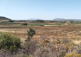 La Laguna de Camuñas en el término municipal de Campillos.