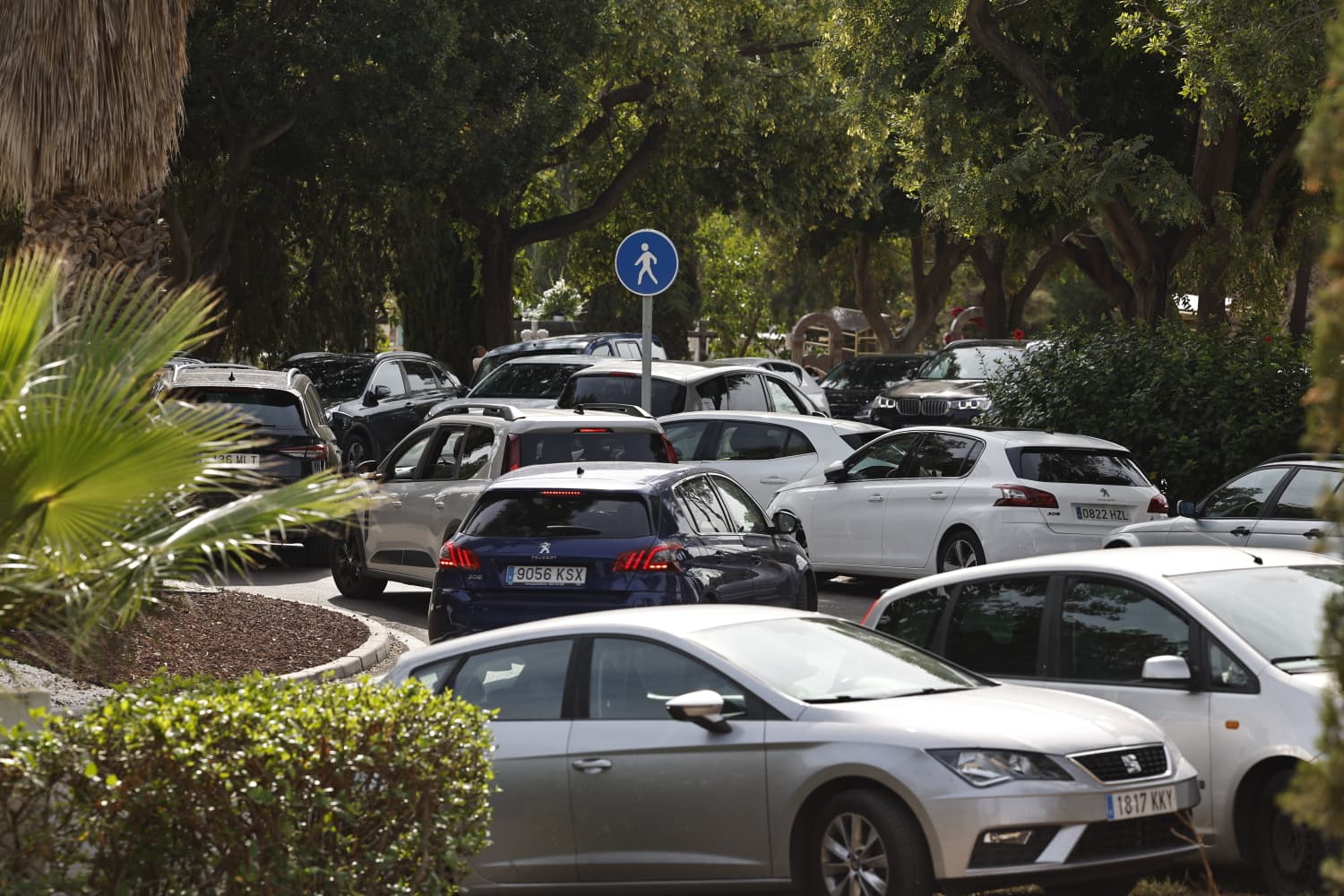 Cientos de personas acuden a los cementerios de Málaga en el Día de Todos los Santos