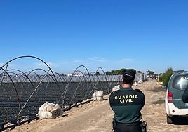 Agentes de la Guardia Civil a la entrada de la finca donde vivía y trabajaba la mujer asesinada.