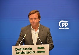 El secretario general del PP andaluz, Antonio Repullo.