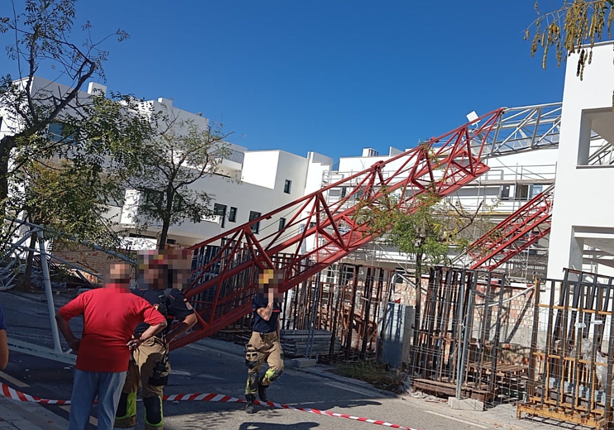 Imagen de la grúa tras volcar sobre el edificio.