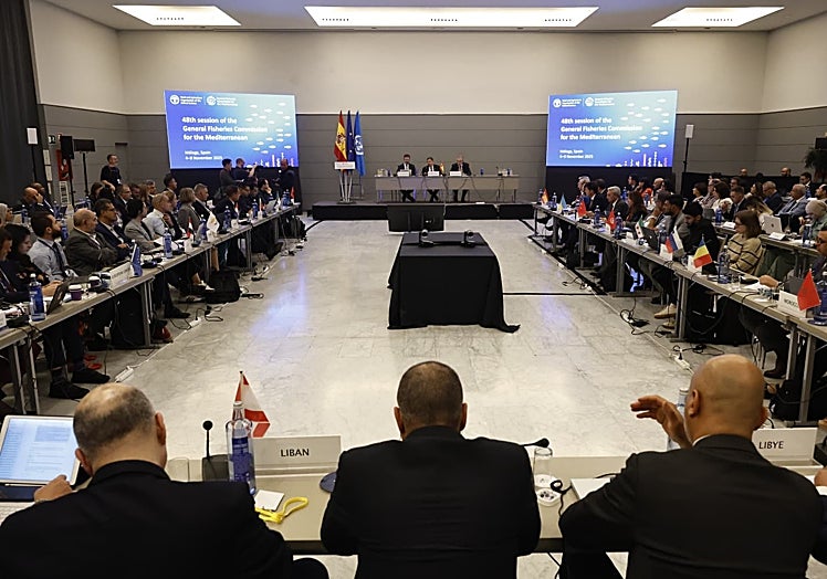 Un momento de la reunión de la Comisión General de Pesca del Mediterráneo.