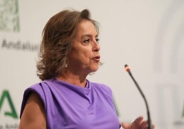 La consejera de Sostenibilidad y Medio Ambiente, Catalina García, en la rueda de prensa tras el Consejo de Gobierno.