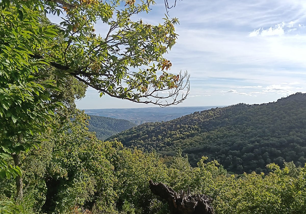 Montes en la sierra onubense de Aracena.