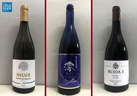 La cata: los vinos recomendados en la segunda semana de noviembre