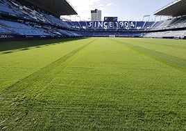 Imagen reciente de La Rosaleda.