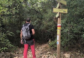 Este recorrido sirve para llegar hasta la zona conocida como Puerto Rico Alto.