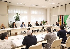 Imagen de la Comisión de Participación y Seguimiento del Plan de Acción de Cribado del Cáncer de Mama.