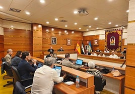 Pleno extraordinario de la Corporación alhaurina.