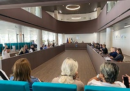Pleno de noviembre en el Ayuntamiento de Estepona. En primer término, integrantes de la Plataforma por la Apertura Íntegra del Hospital de Estepona.