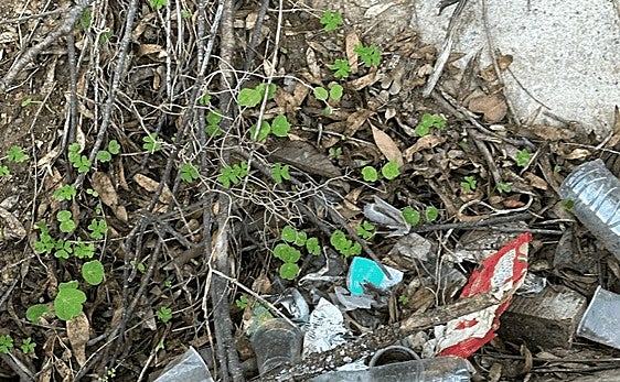 Vista de la basura acumulada en la zona denunciada.