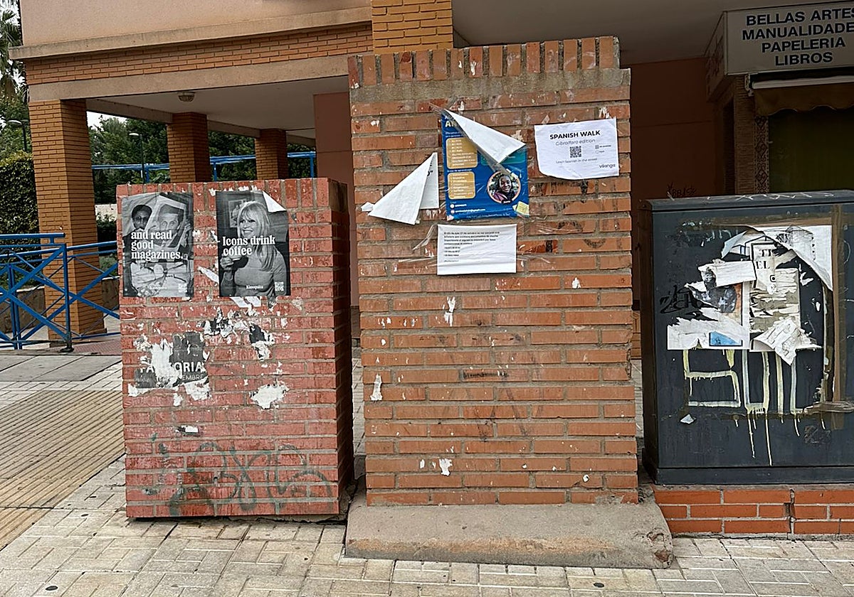 Estado decadente de la parte denunciada en El Ejido.