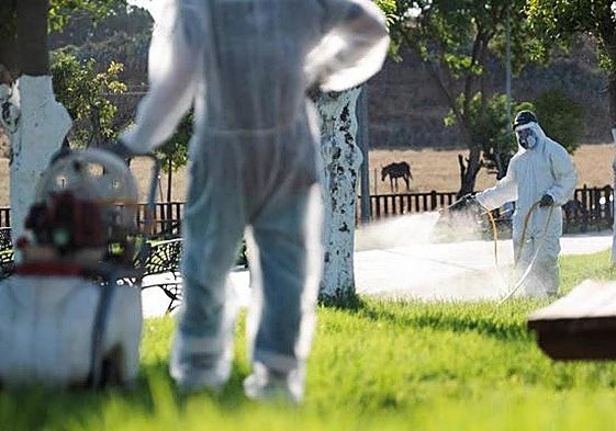 Suben a once los municipios andaluces en alerta por el virus del Nilo