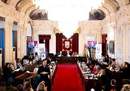 El alcalde de Málaga, Francisco de la Torre, ha presidido este viernes el Consejo Sectorial de la Mujer.