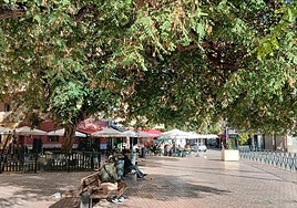 Una plaza de la calle de la Unión, a mediodía este viernes.