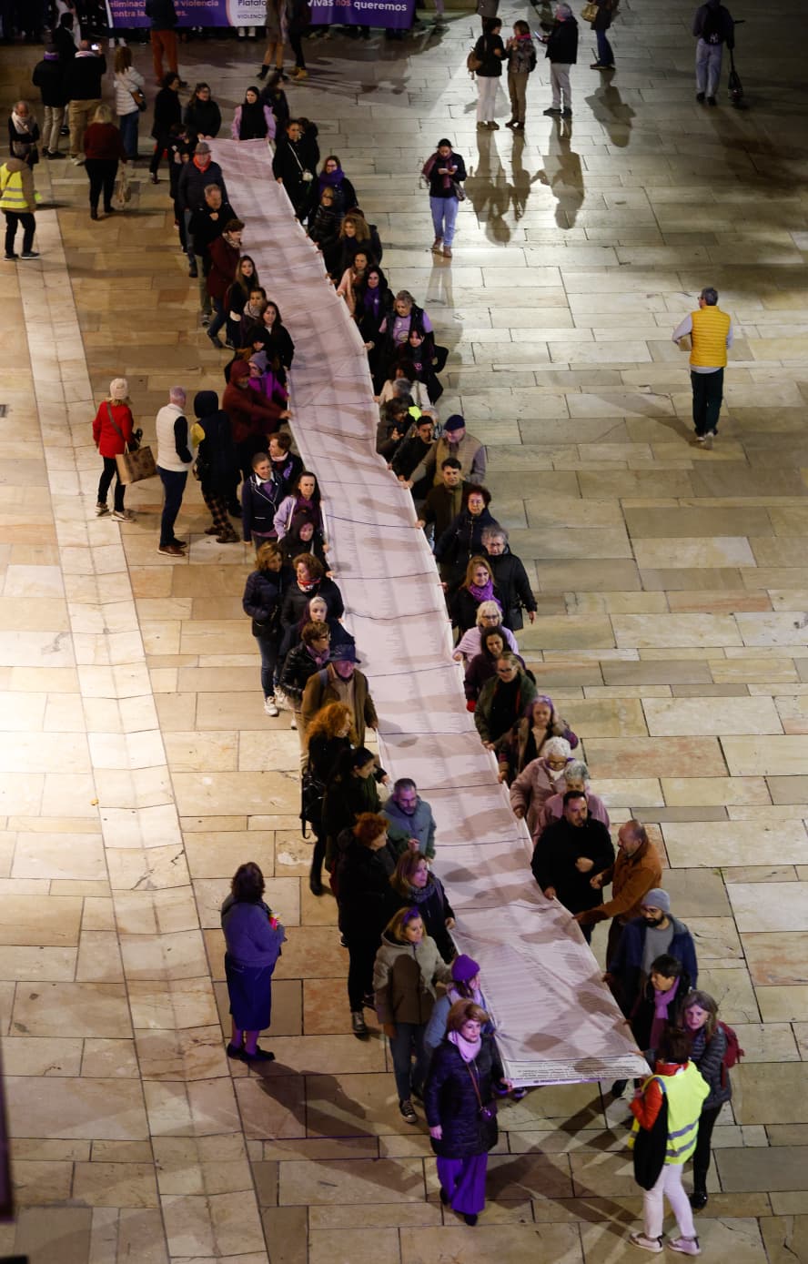 La manifestación del 25N, en Málaga