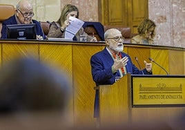 El portavoz de la Marea Blanca de Andalucía, Sebastián Martín Recio, interviene en el Parlamento.