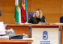 La alcaldesa de Fuengirola, Ana Mula, en el pleno celebrado hoy.
