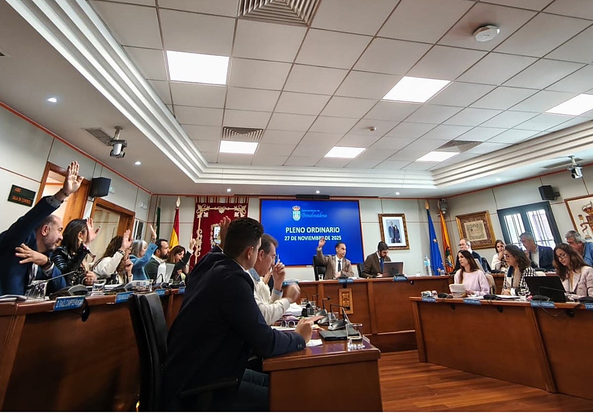 La medida ha sido aprobada hoy por el pleno del Ayuntamiento.