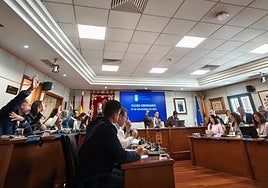 La medida ha sido aprobada hoy por el pleno del Ayuntamiento.