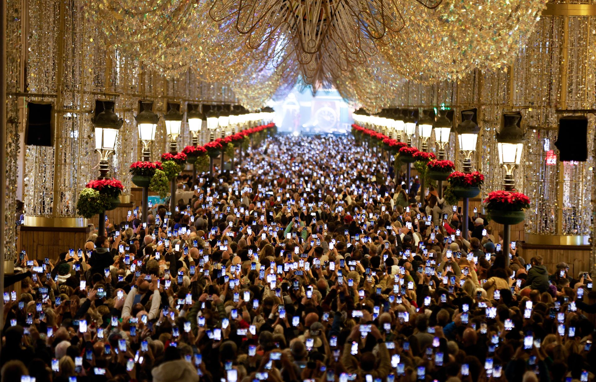 Calle Larios estrena nuevo alumbrado: 'Natividad de luz'