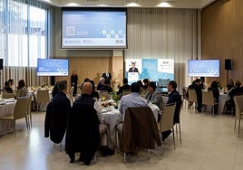 La mayor compañía de energías renovables de China presenta en Málaga sus planes de expansión