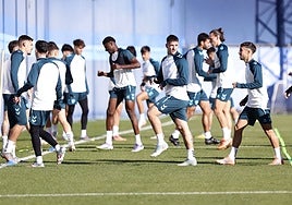 Los jugadores del Málaga se entrenan en el Anexo de La Rosaleda esta semana.