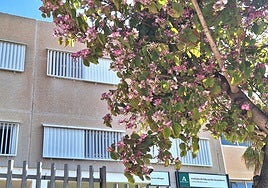 Un instituto de Torremolinos.