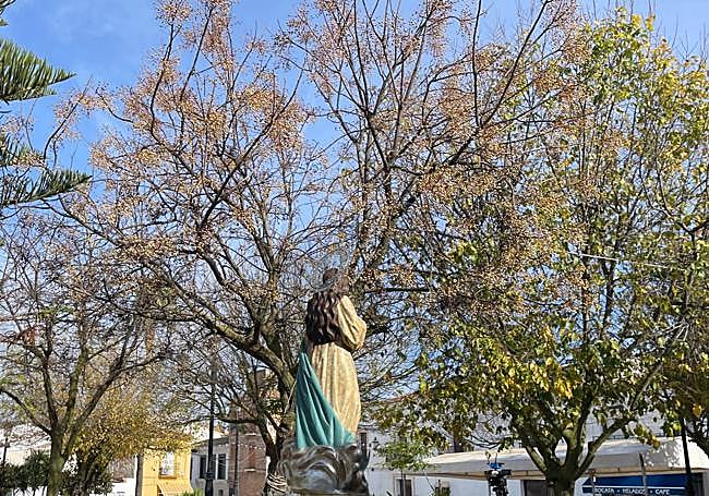 Procesión de la Inmaculada en Sierra de Yeguas