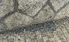 Heces de palomas en la zona denunciada, con las aceras incrustadas de suciedad y desperdicios.