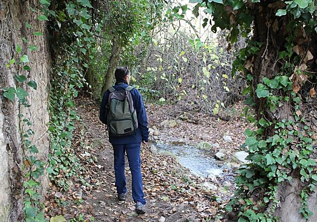 Sendero circular junto al arroyo de la Ventilla.