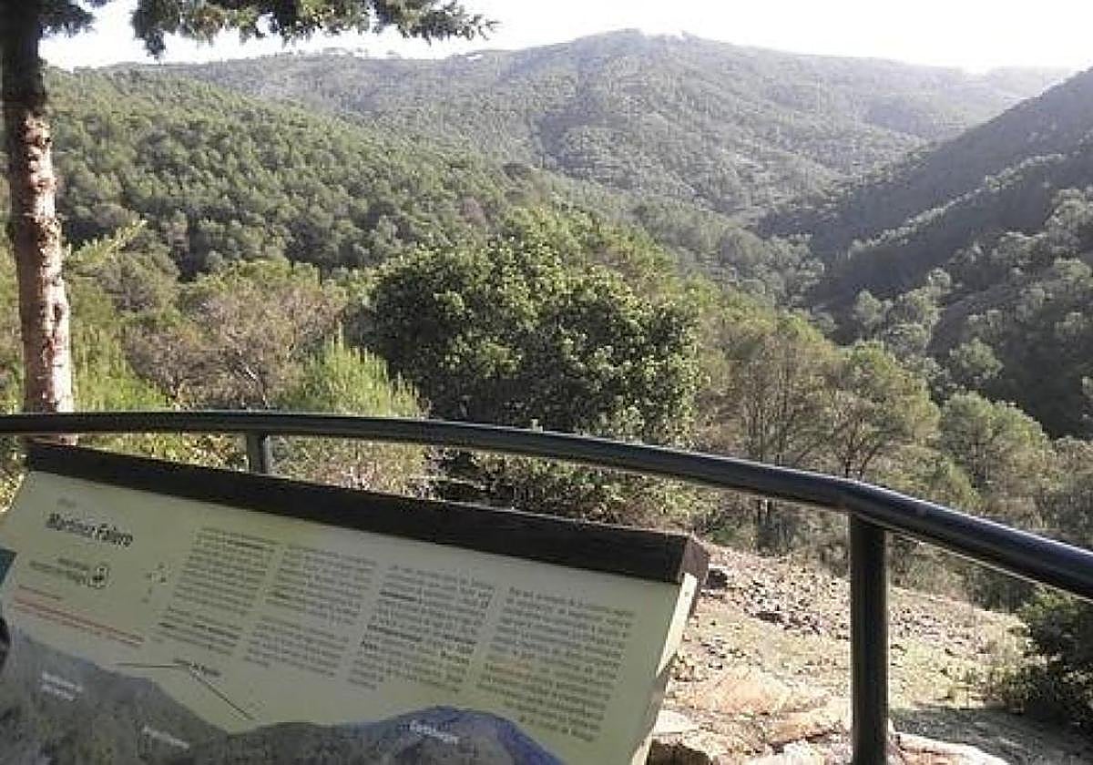 Más de la mitad de la superficie de Andalucía son espacios forestales, con 4,6 millones de hectáreas